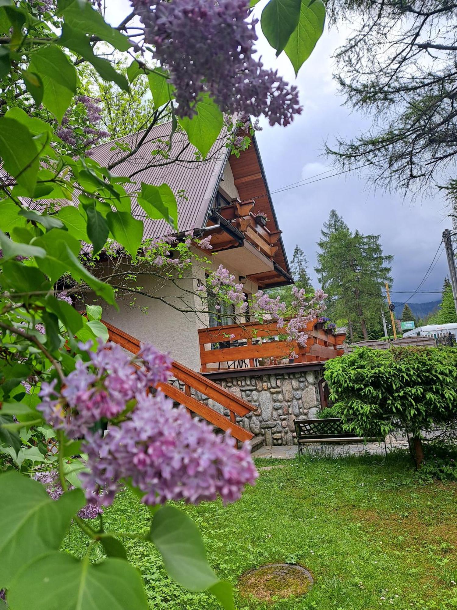Pokoje Goscinne U Wandy Zakopane Exterior foto